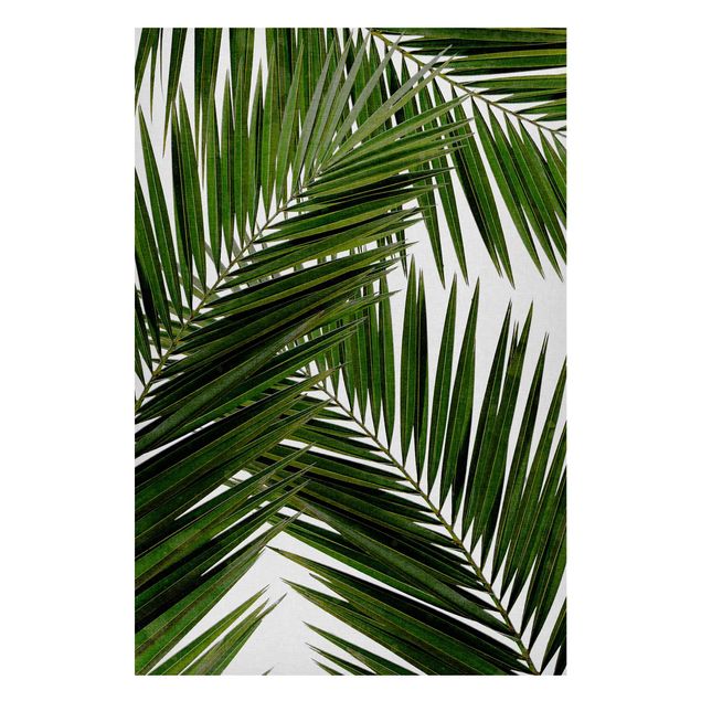 Obrazy do salonu Widok przez zielone liście palmy