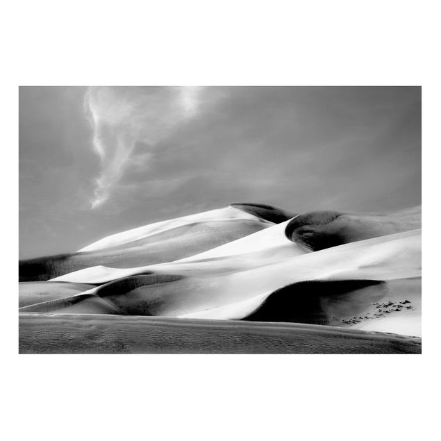 Nowoczesne obrazy do salonu Colorado Dunes czarno-biały