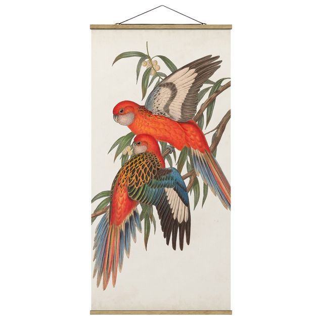 Obraz vintage Papugi tropikalne I