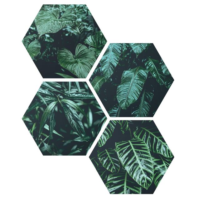 Obraz heksagonalny z Forex 4-częściowy - Rośliny tropikalne