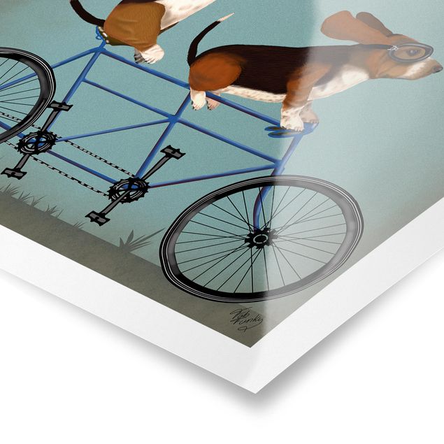 Pies obraz Wycieczka rowerowa - Bassets Tandem