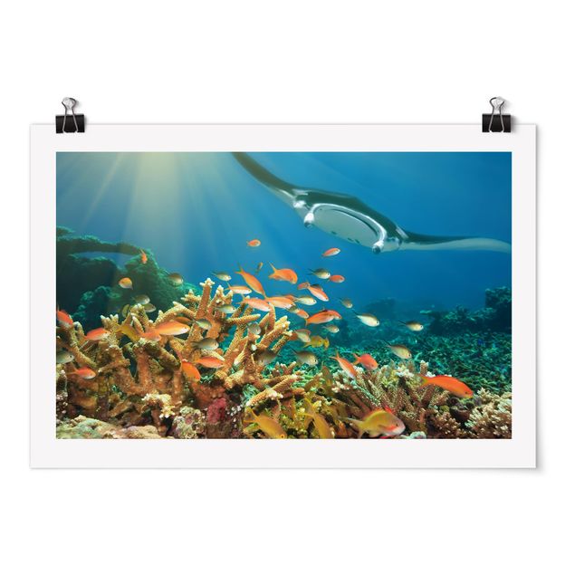 Obrazy na ścianę krajobrazy Refa koralowa
