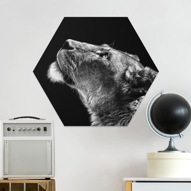 Obrazy do salonu Portret lwicy