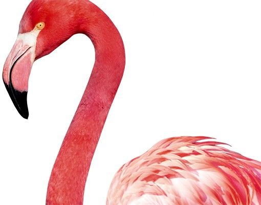 Pokój dziecięcy Różowe flamingi