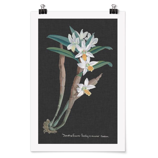 Obraz vintage Biała orchidea na lnie I