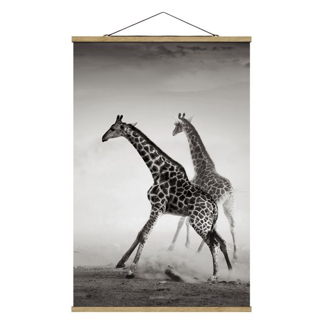 Obrazy krajobraz Polowanie na żyrafę