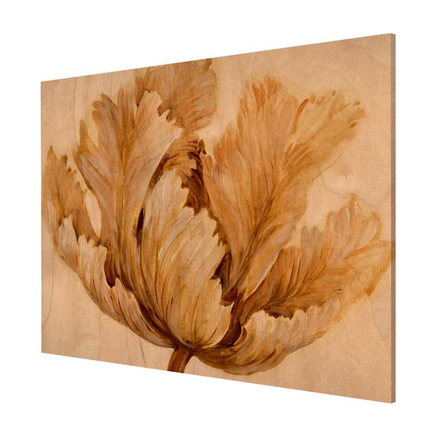 Obrazy nowoczesny Sepia Tulipan na drewnie