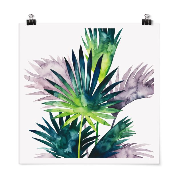 Obrazy nowoczesne Egzotyczne liście - Fan Palm