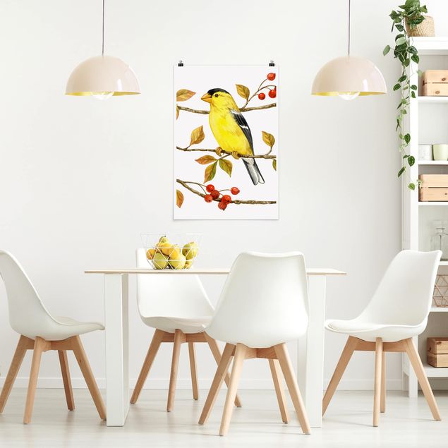 Obrazy nowoczesne Ptaki i jagody - Złotogłów