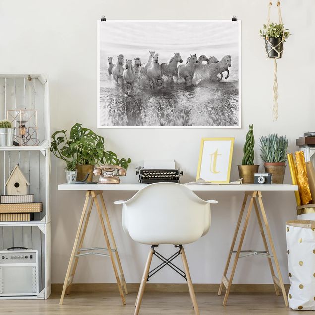 Obrazy nowoczesny Białe konie w morzu