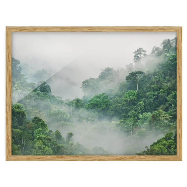 Obrazy w ramie do łazienki Dżungla we mgle