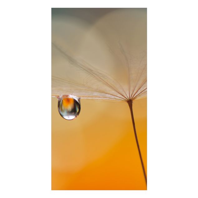 Tylna ścianka prysznicowa - Dandelion In Orange