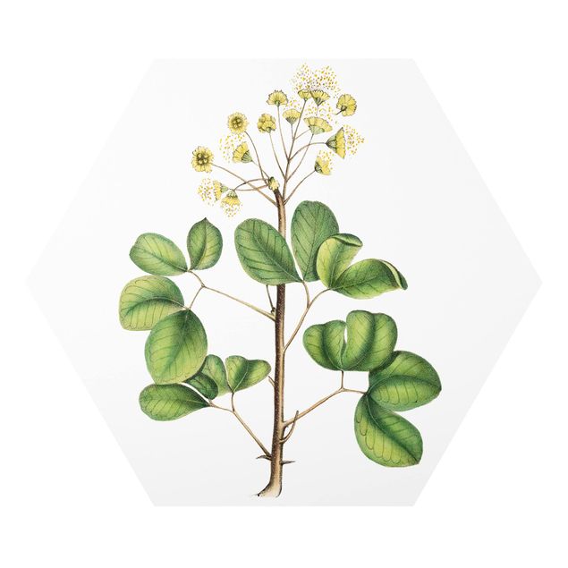 Retro obrazy Liście z kwiatami IV