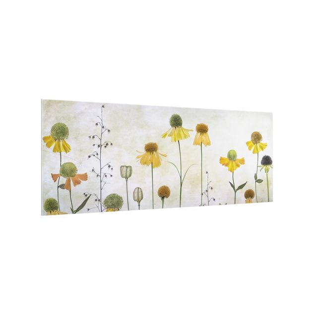 Panel szklany do kuchni - Czułe kwiaty Helenium