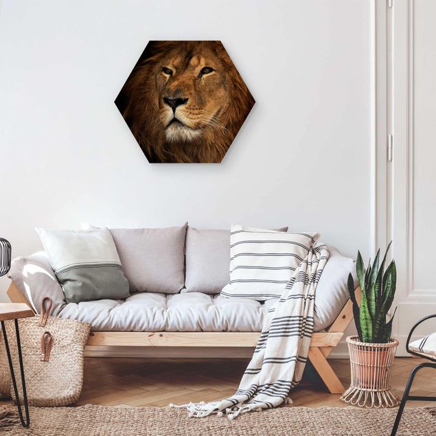 Obrazy na ścianę Widok lwa