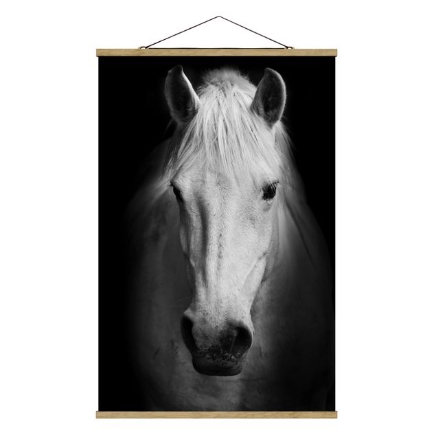 Obrazy koń Marzenie o koniu