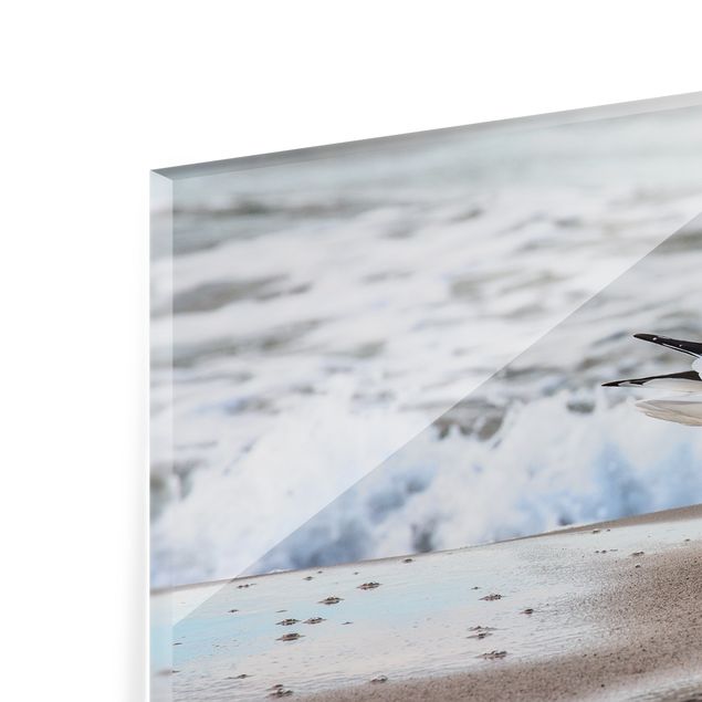 Panel szklany do kuchni - Mewa na plaży przed morzem