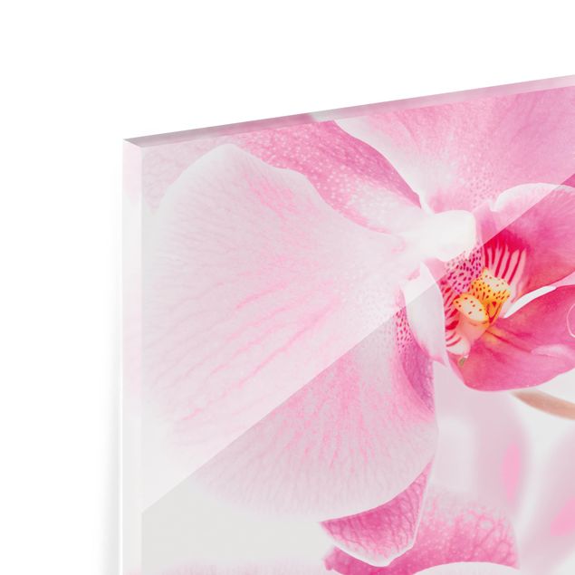 Panel szklany do kuchni - Delikatne orchidee