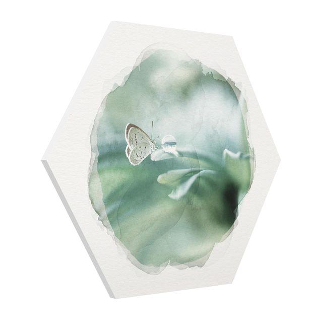 Motyl obraz Akwarele - Motyl i krople rosy w pastelowej zieleni