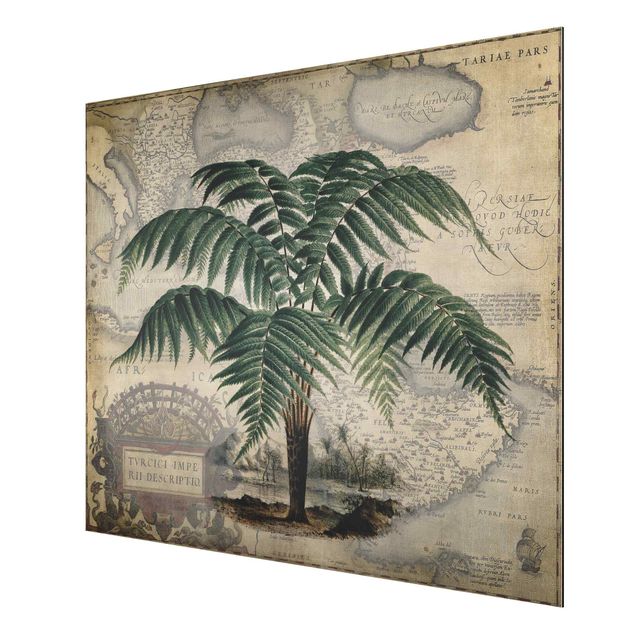 Obrazy nowoczesne Kolaż w stylu vintage - drzewo palmowe i mapa świata