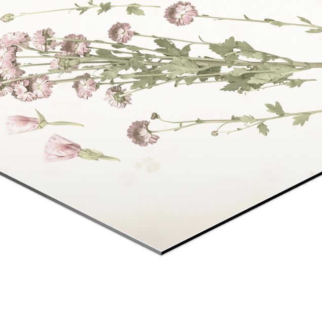 Obraz heksagonalny z Alu-Dibond - Herbarium w kolorze różowym I