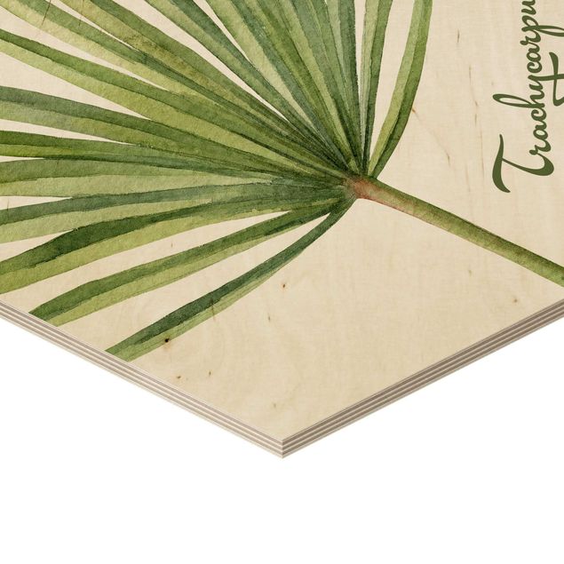 Obraz heksagonalny z drewna - Akwarela Botanika Trachycarpus fortunei