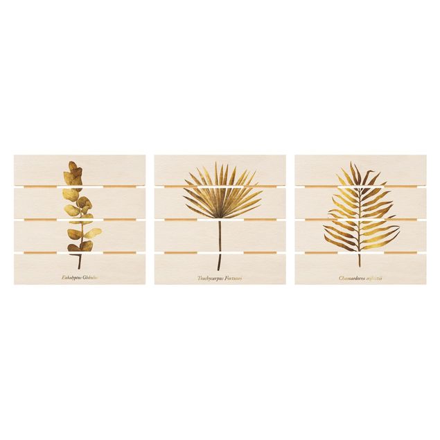 Obraz z drewna 3-częściowy - Złoto - Zestaw tropikalnych liści I