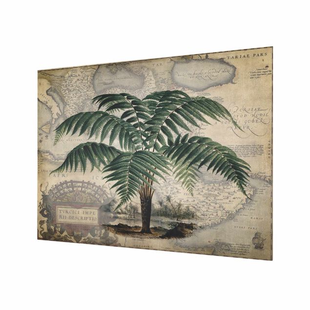 Panel szklany do kuchni - Kolaż w stylu vintage - drzewo palmowe i mapa świata
