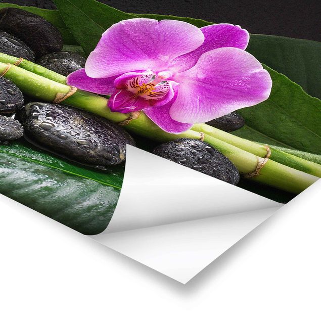 Zielony obraz Zielony bambus z kwiatem orchidei