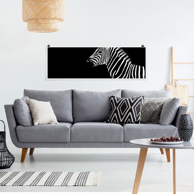 Obrazy do salonu nowoczesne Zebra Safari Art