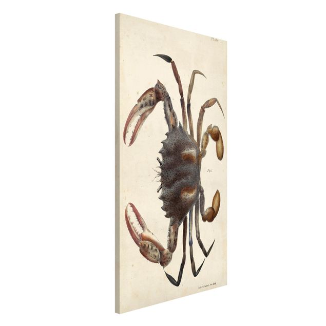Dekoracja do kuchni Ilustracja w stylu vintage przedstawiająca kraba
