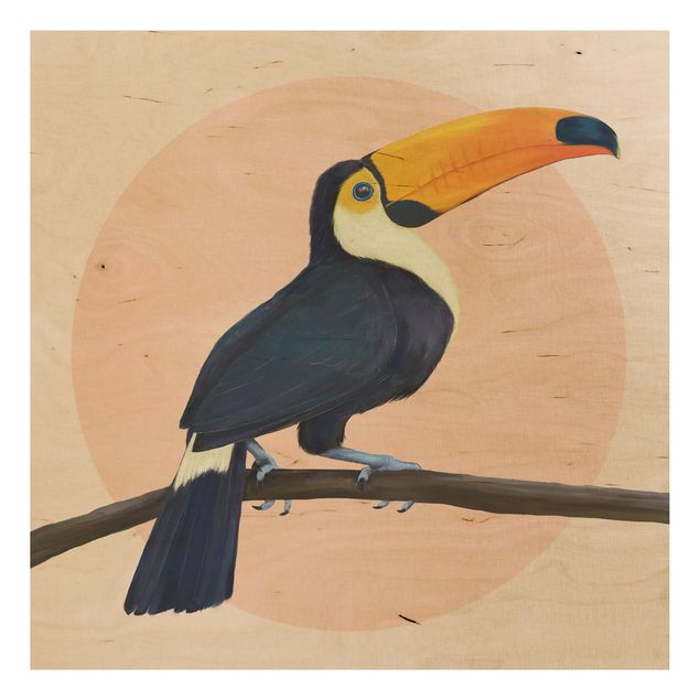 Obrazy Ilustracja ptak tukan malarstwo pastelowe