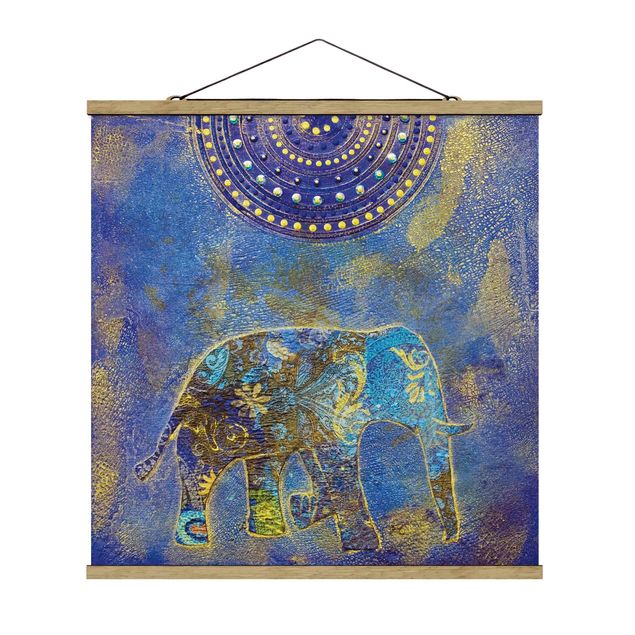 Obrazy zwierzęta Słonie w Marrakeszu