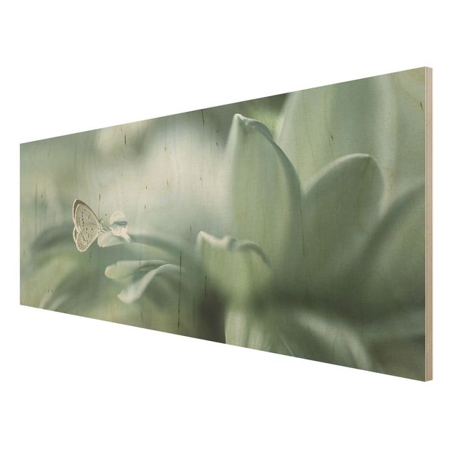 Obrazy z drewna Motyl i krople rosy w pastelowej zieleni