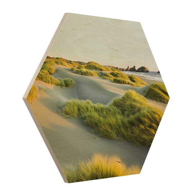 Obrazy drewniane Wydmy i trawy nad morzem
