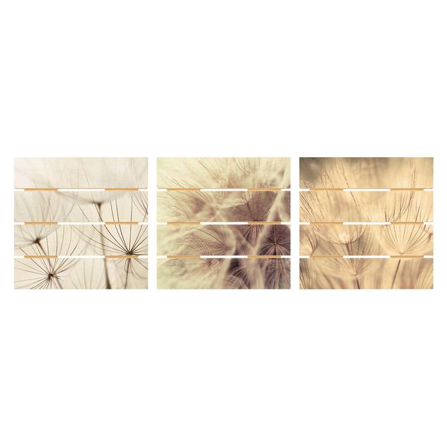Obraz z drewna 3-częściowy - Mlecze i trawy