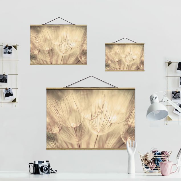 Obrazy motywy kwiatowe Zbliżenie na mniszki lekarskie w domowym zaciszu w tonacji sepii