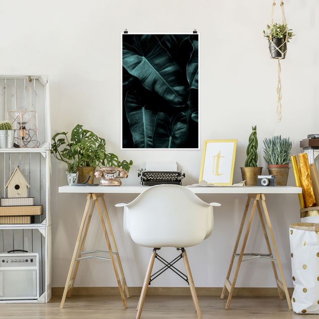 Obrazy do salonu nowoczesne Liście dżungli ciemnozielone