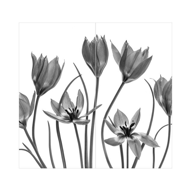 Tylna ścianka prysznicowa - Seven Tulips Black And White