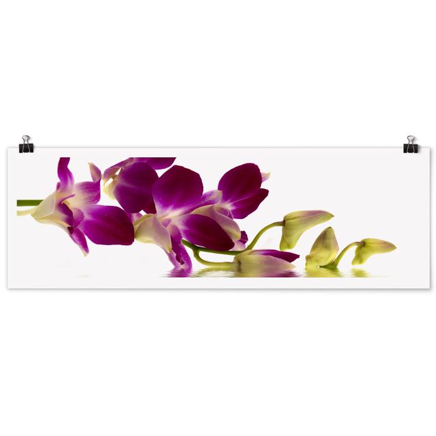 Nowoczesne obrazy Wody różowej orchidei