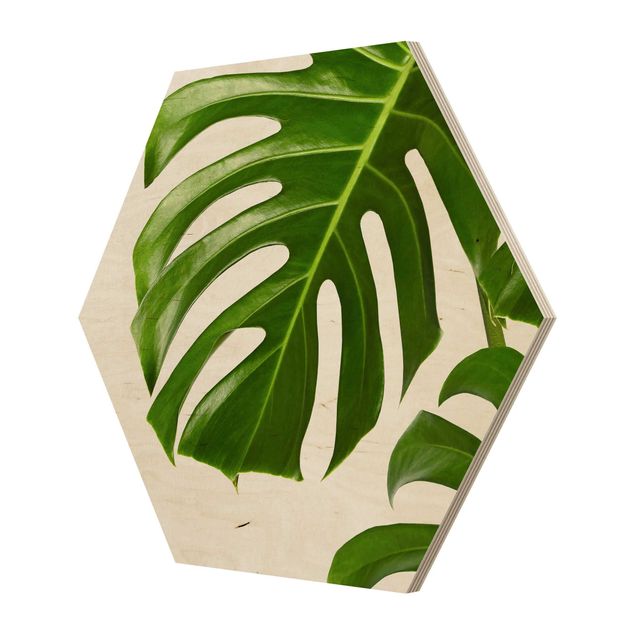 Obraz heksagonalny z drewna - Monstera o zielonych liściach