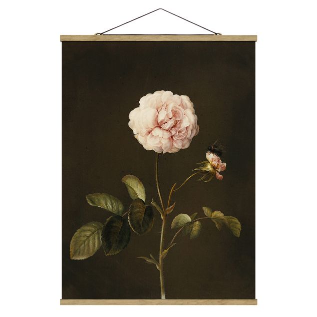 Obraz brązowy Barbara Regina Dietzsch - Róża octowa z trzmielem