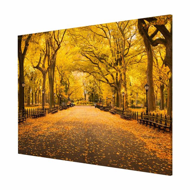 Nowoczesne obrazy Jesień w Central Parku