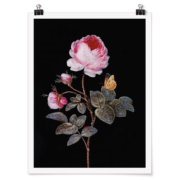 Obrazy martwa natura Barbara Regina Dietzsch - Róża stulistna