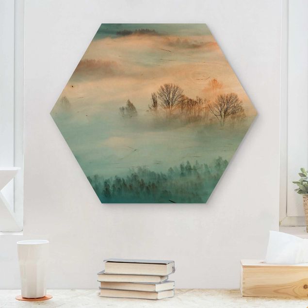 Obrazy na ścianę Mgła o wschodzie słońca