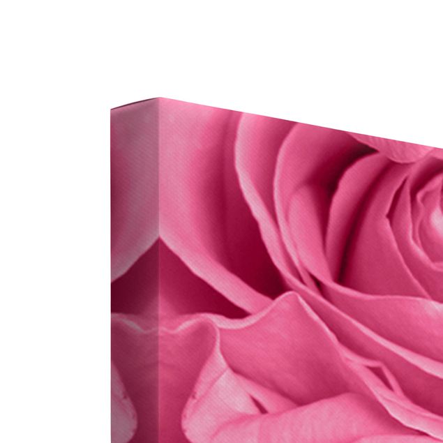Obraz na płótnie 5-częściowy - Różowe róże