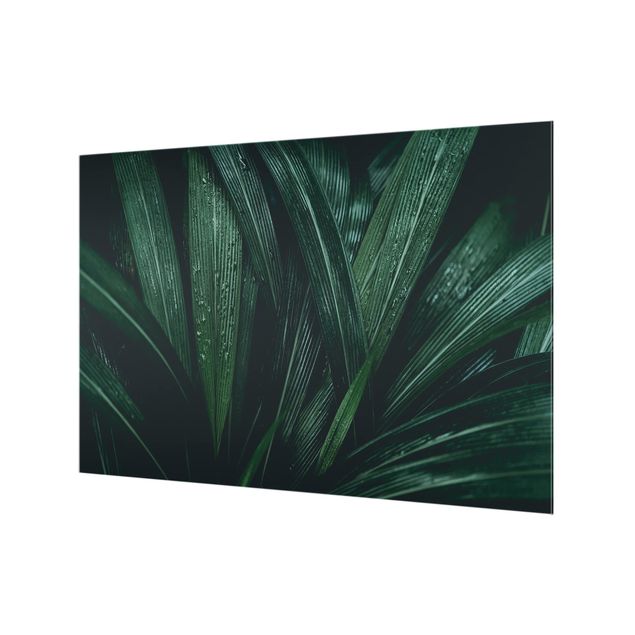 Panel szklany do kuchni - Zielone liście palmy