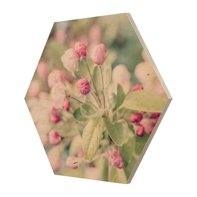 Obrazy kwiatowe Kwiat jabłoni bokeh różowy