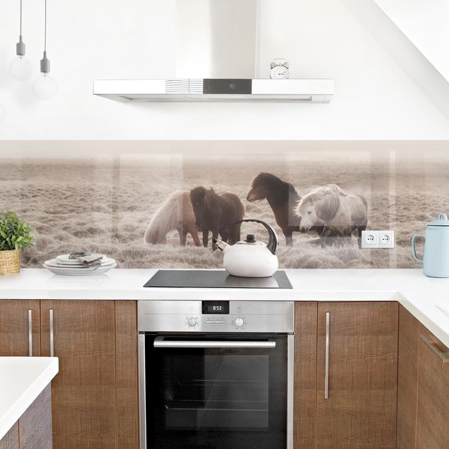 Panele szklane do kuchni Islandzkie dzikie konie