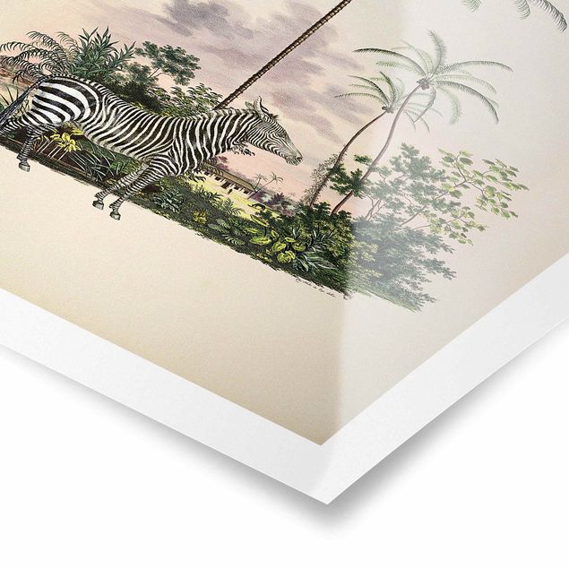 Obrazy retro Zebra na tle palm ilustracja
